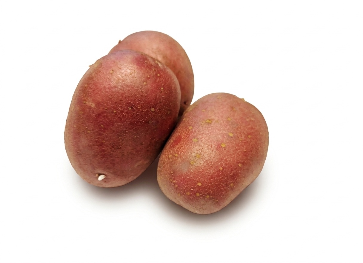 Burgonya piros - NAGY - BIO
